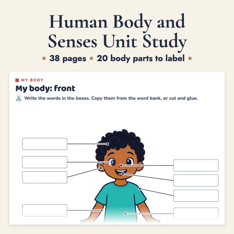 Human Body and Senses Unit Study, cover image