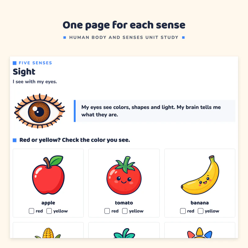 Sight page: an eye, red or yellow check boxes for an apple, tomato, banana, corn, strawberry and sun, and a try it box