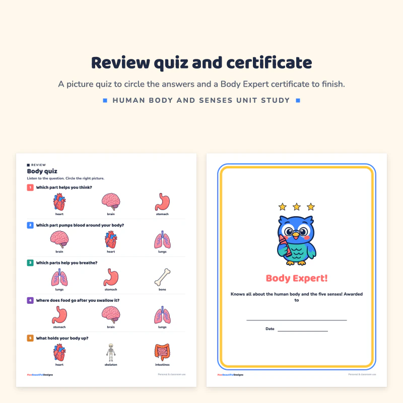 Body quiz page with picture choices, next to a Body Expert certificate with an owl