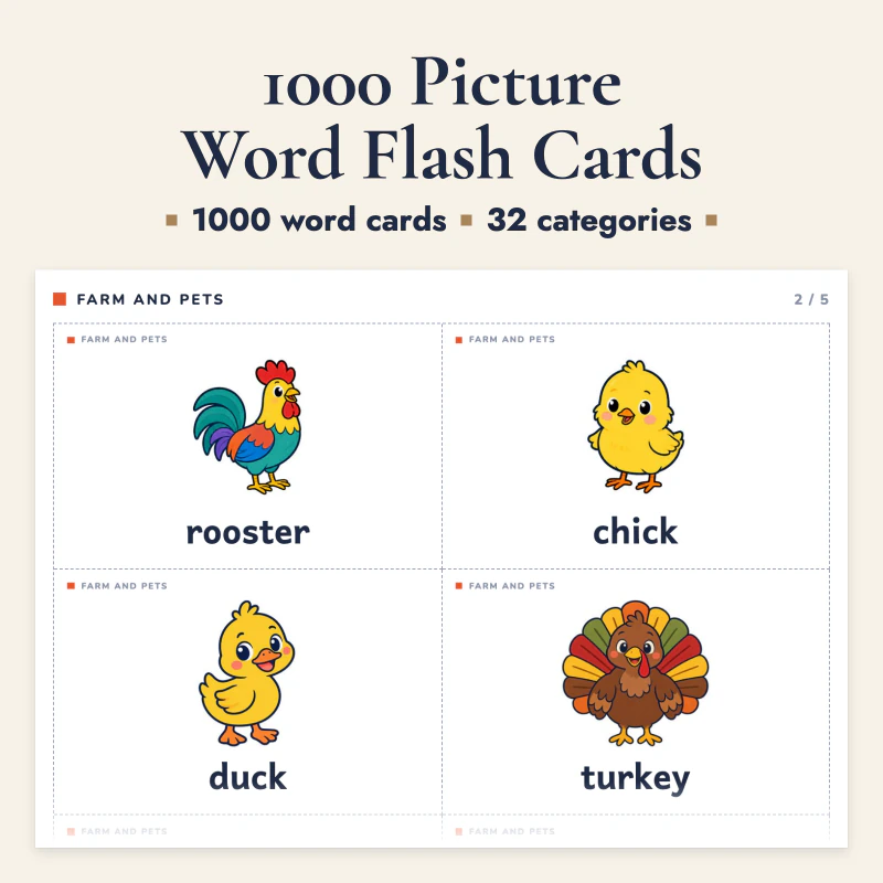 1000 Picture Word Flash Cards, cover image